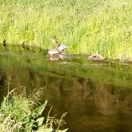 La Vida Suite Hoppegarten Dış mekan fotoğraf