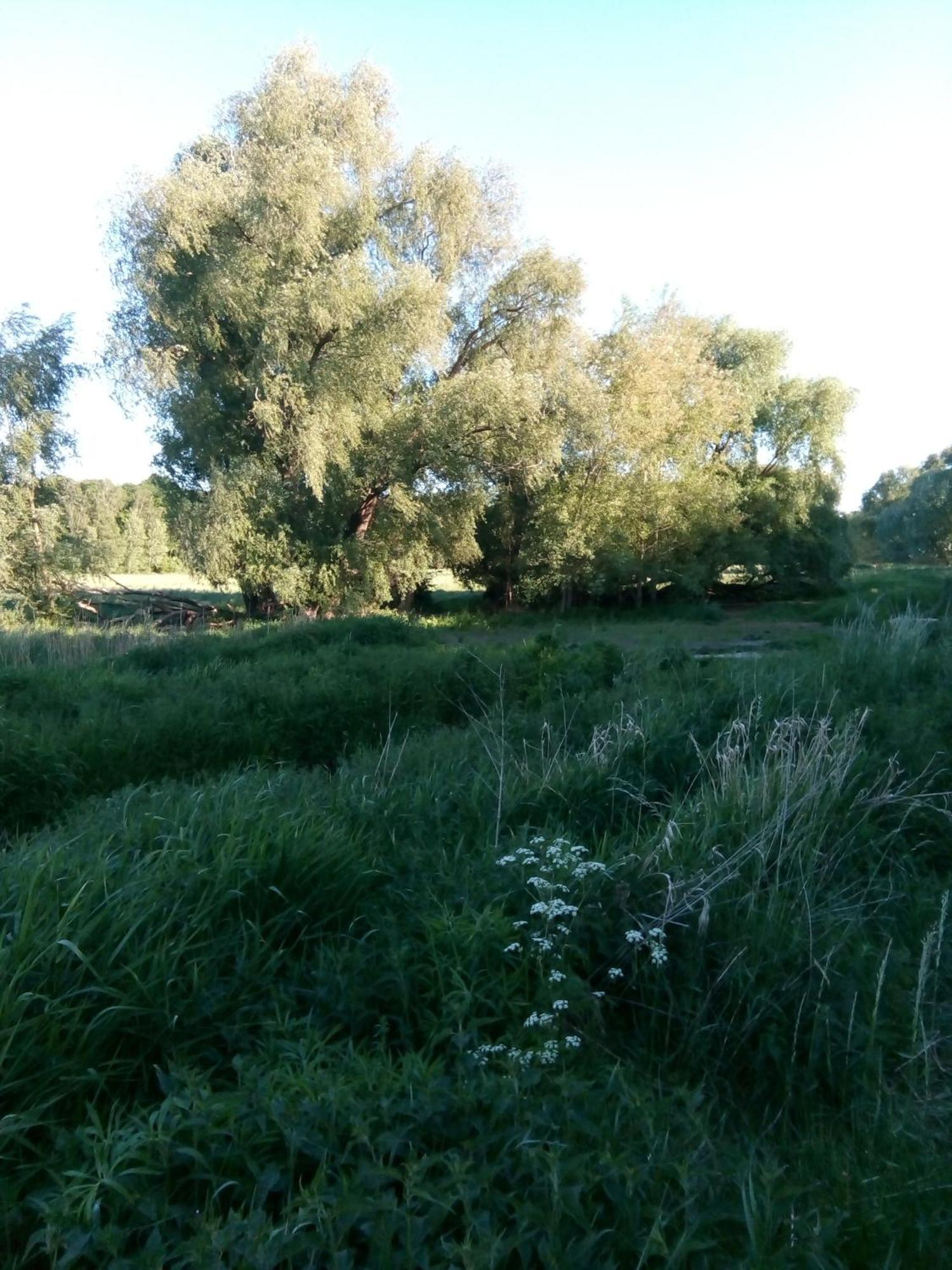 La Vida Suite Hoppegarten Dış mekan fotoğraf